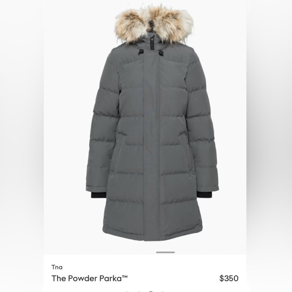 Aritzia Powder Parka